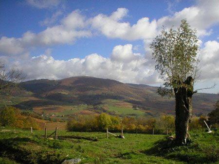 Le Colombier D'Amalthee Villa Vernay Exterior foto